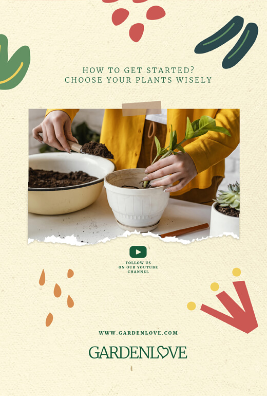 Book Demo 14 - Image 4